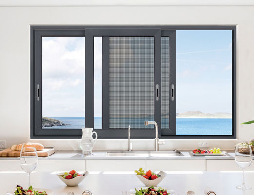 屋外 嵐 耐える スリムライン アルミ 滑りドア フルーアカーボン 噴霧