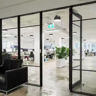 ダブルキャスメント アルミ製枠 スイングドア テンパールガラスで現代デザイン