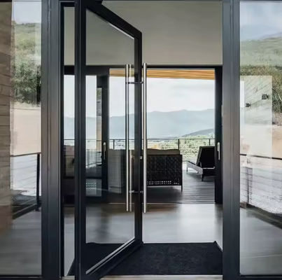 Y/N インセクトスクリーン アルミニウム スイングドア 双温化透明ガラスと磁気ロック